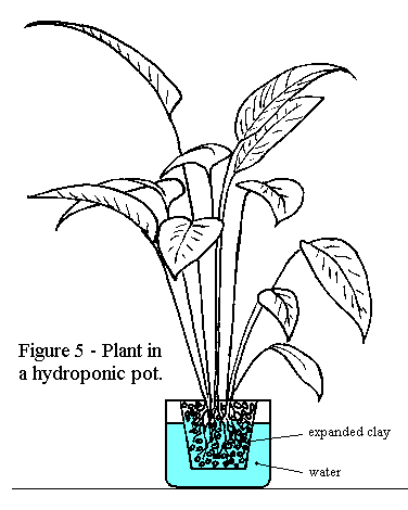 376x470 Drawn Pot Plant Easy