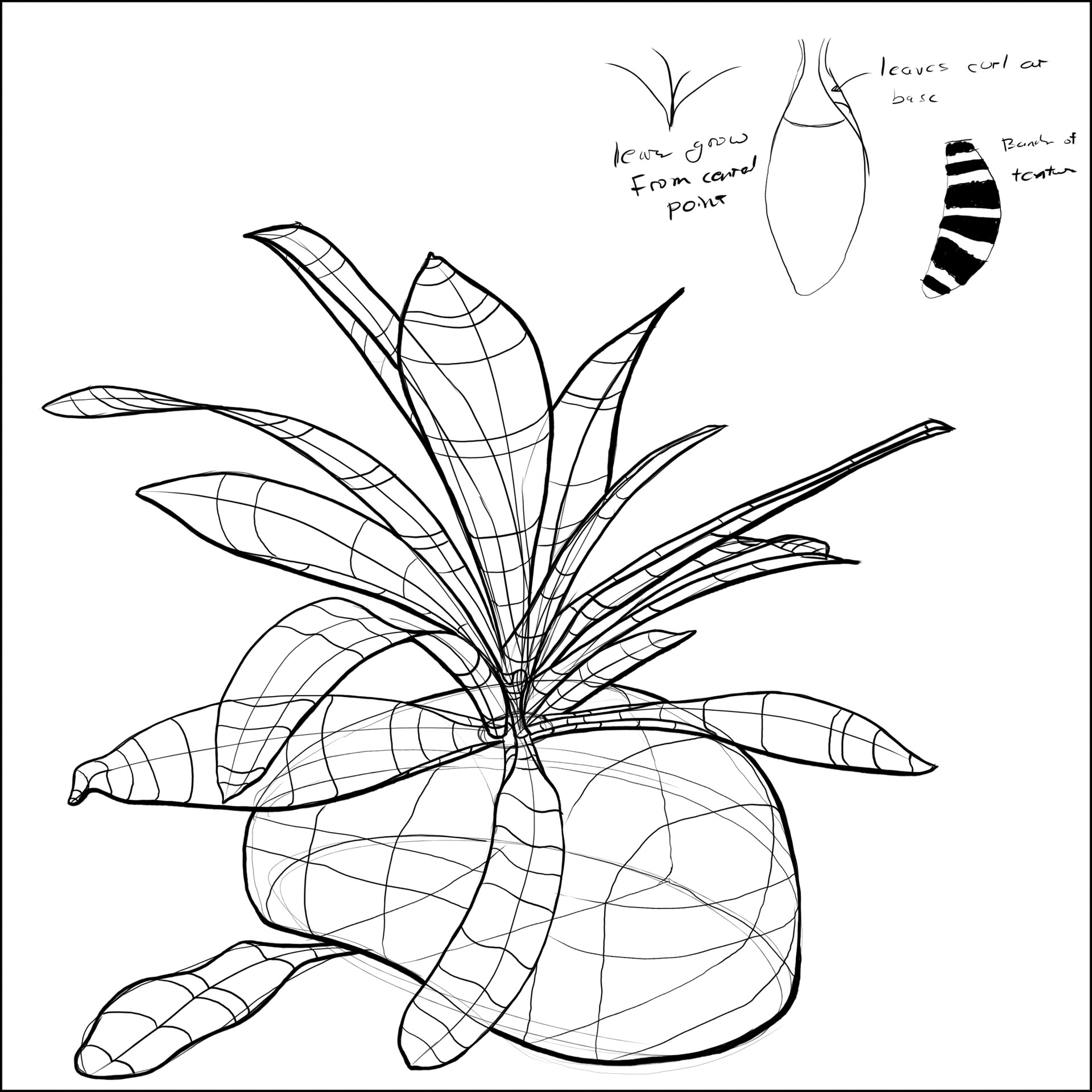 1920x1920 Joshua Blargas Hicks