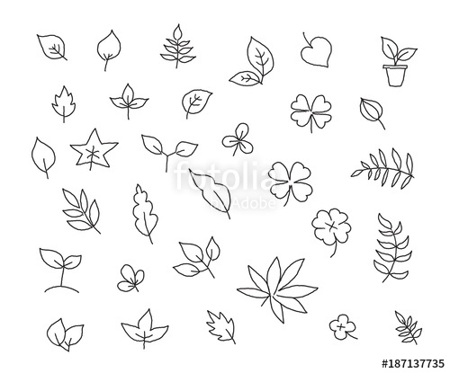 500x415 Different Types Of Leaves Set Of Various Species Of Trees