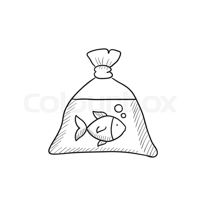800x800 Fish In Plastic Bag Vector Sketch Icon Isolated On Background
