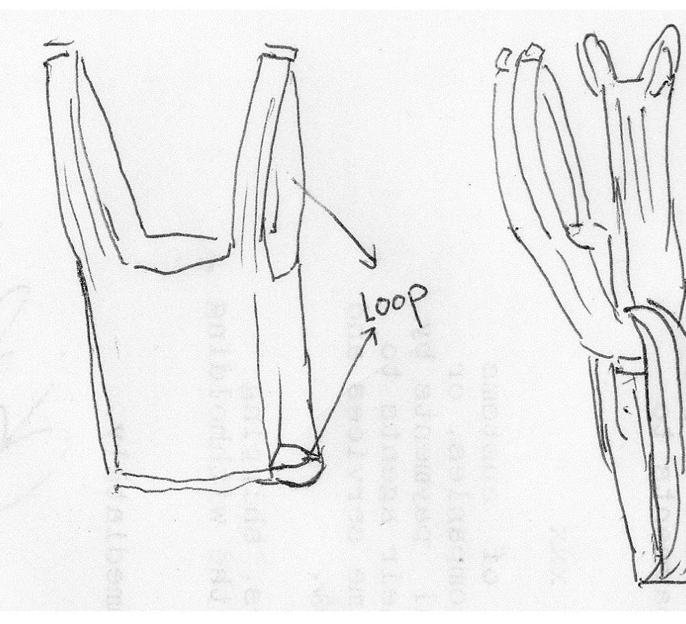 1000x910 Vista Tangled