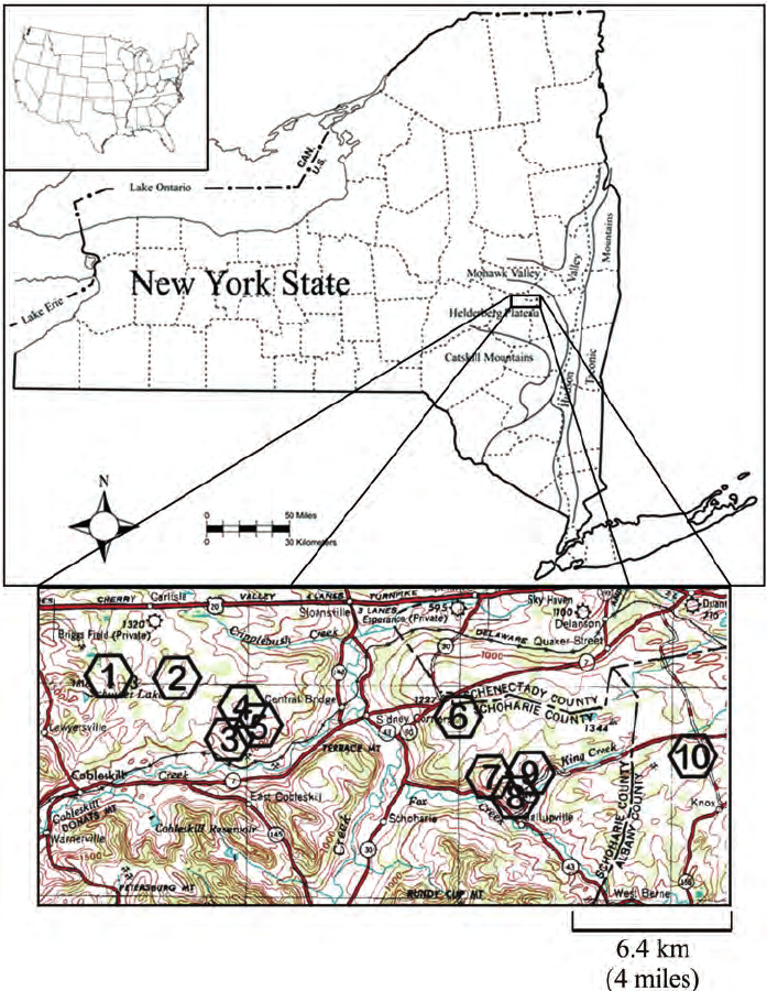 697x900 Map Showing The General Location Of The Helderberg Plateau In East