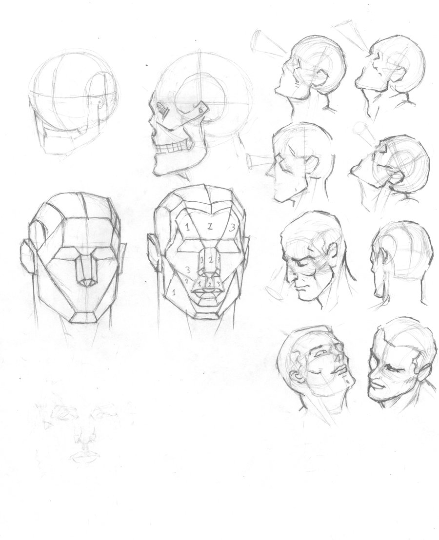 900x1108 Human Head Plates By Atlas0