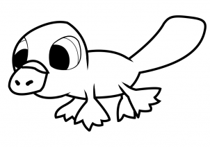 302x212 How To Draw How To Draw A Platypus For Kids