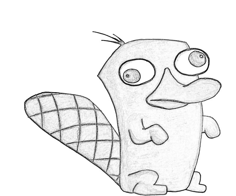 800x667 Perry The Platypus Coloring Pages