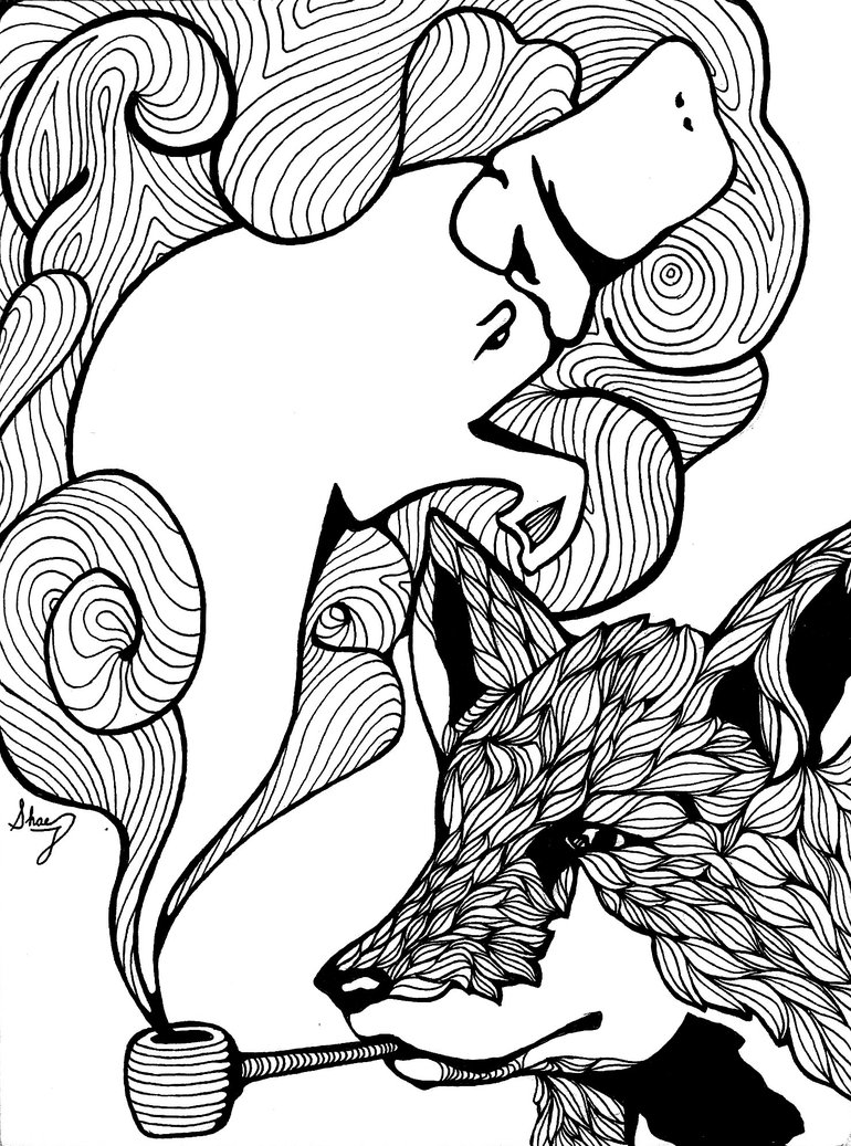 770x1037 The Fox And The Platypus By Shaejdesigns