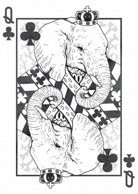 570x800 70 Best Wild Animal Playing Cards Images On Game Cards