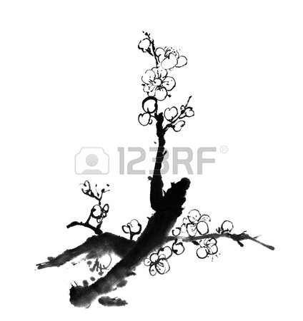 Plum Blossom Drawing at GetDrawings | Free download