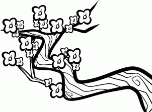 302x223 How To Draw How To Draw A Plum Blossom