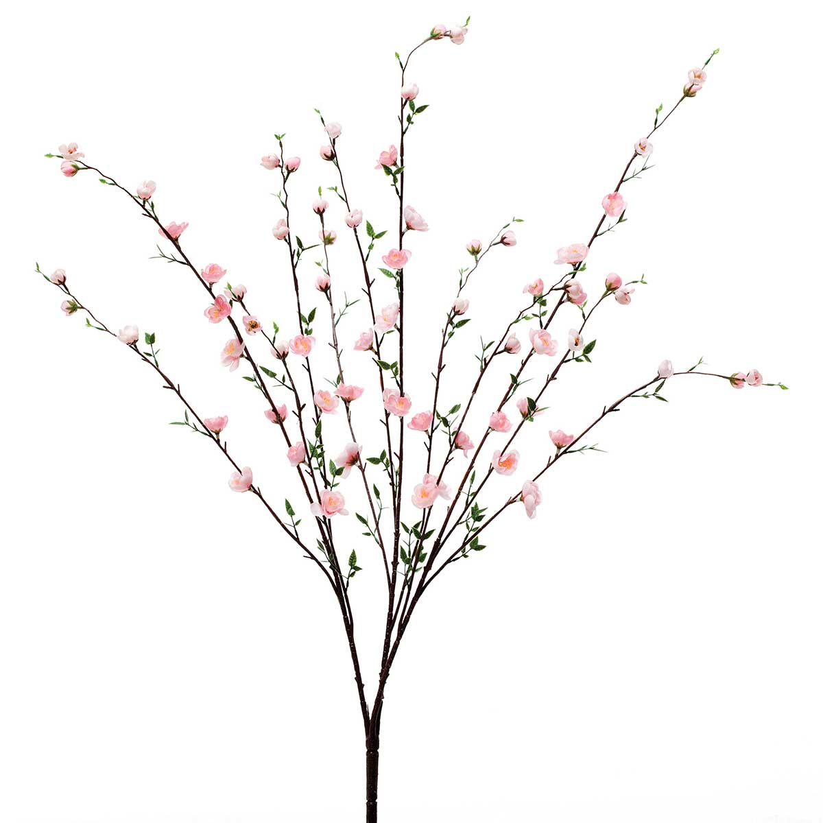 1200x1200 Petite Blossoms Meravic