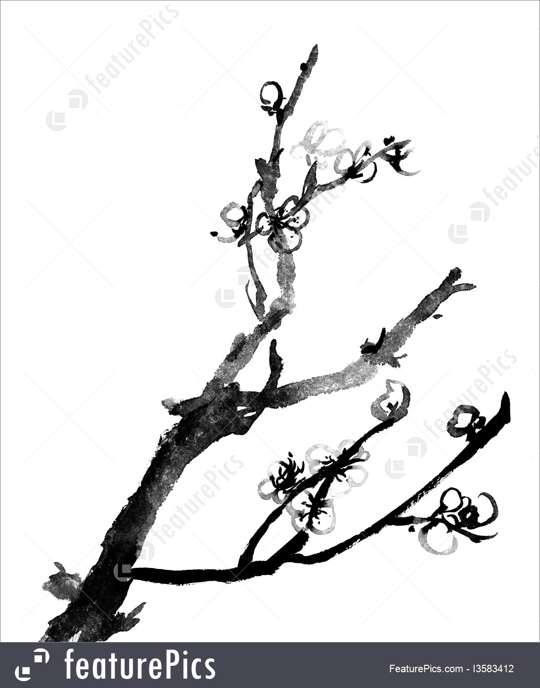 Plum Blossom Drawing at GetDrawings | Free download