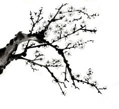 236x217 Plum Drawing Plant Flowers Vector Material Floral Vetor