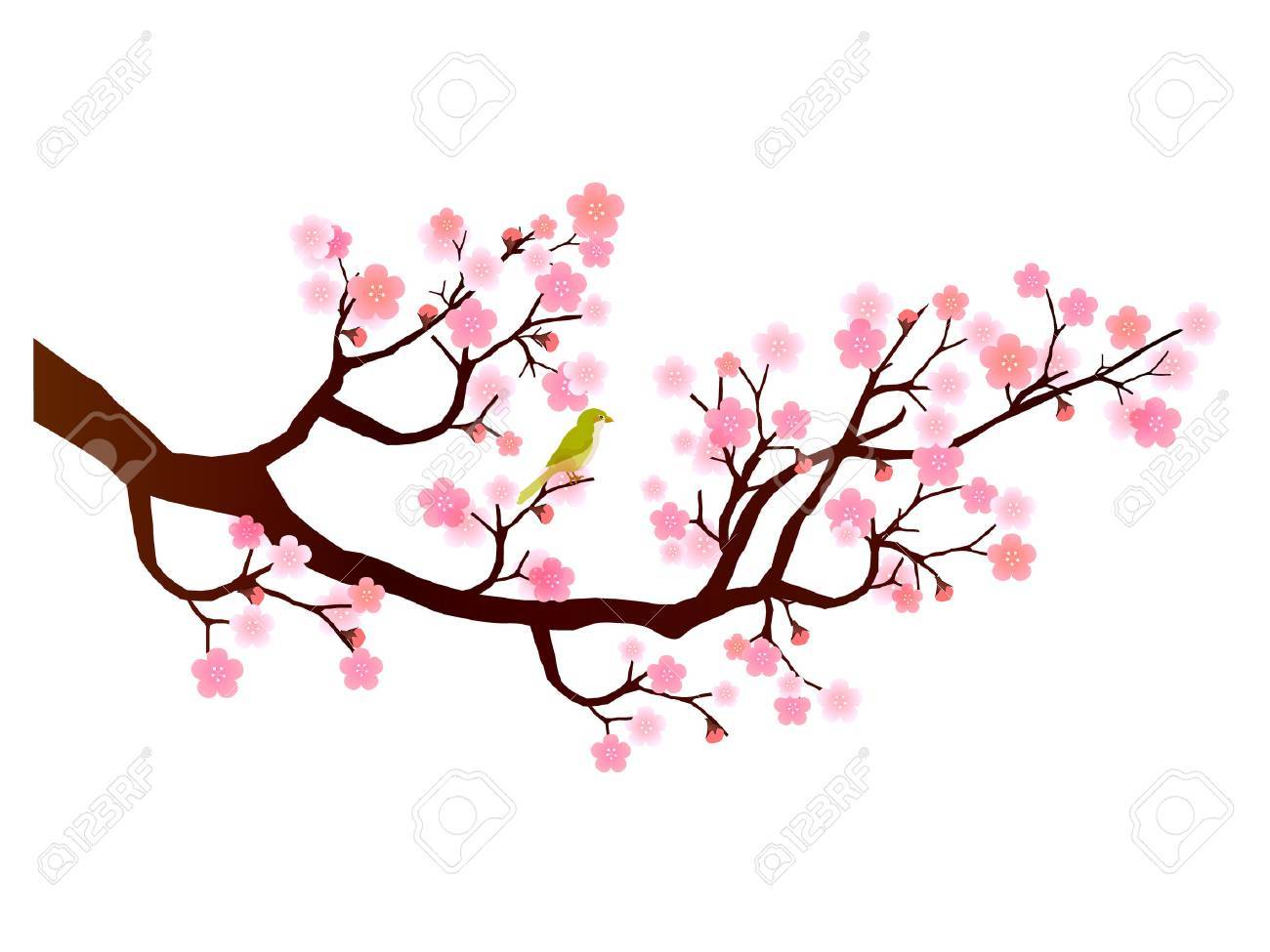 1300x975 Plum Flower Icon Royalty Free Cliparts, Vectors, And Stock