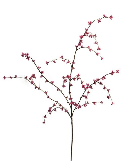 480x640 Starflowercross Plum Shop