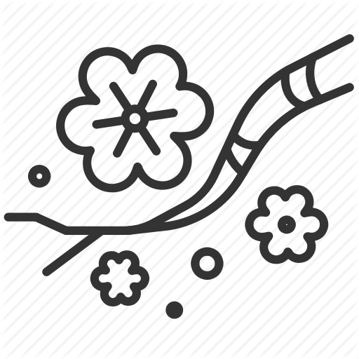 512x512 Bloom, Blossom, China, Chinese, Flower, New Year, Plum Icon Icon