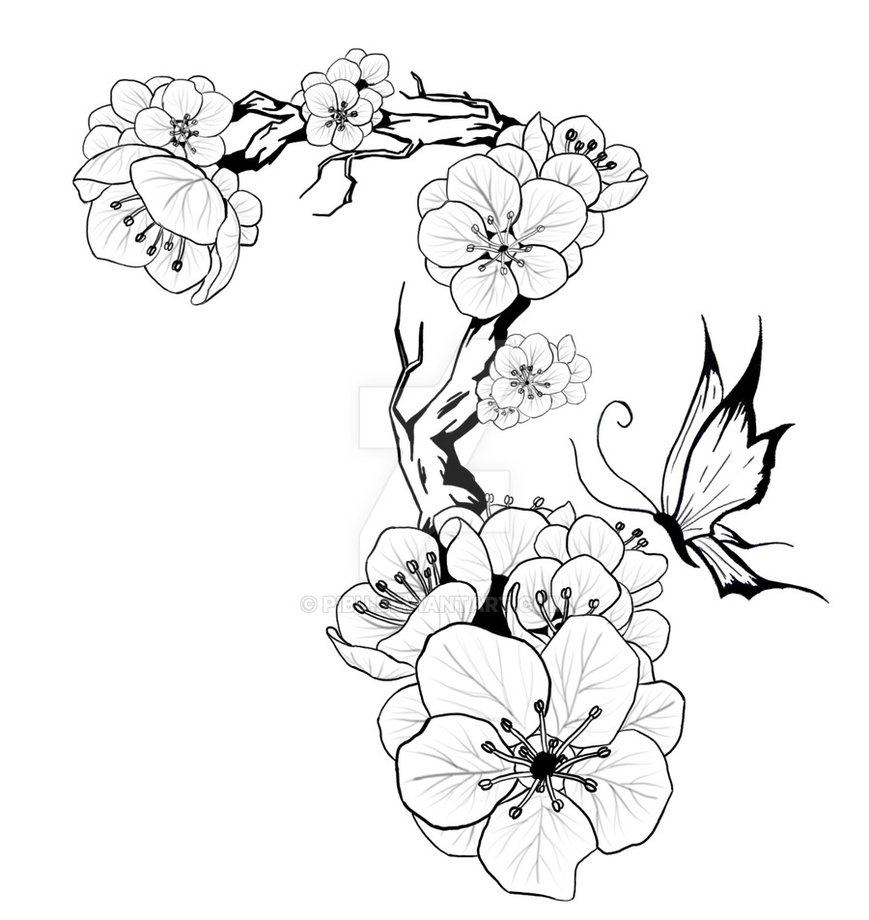 869x920 Plum Blossom Tattoo Design By Pibu