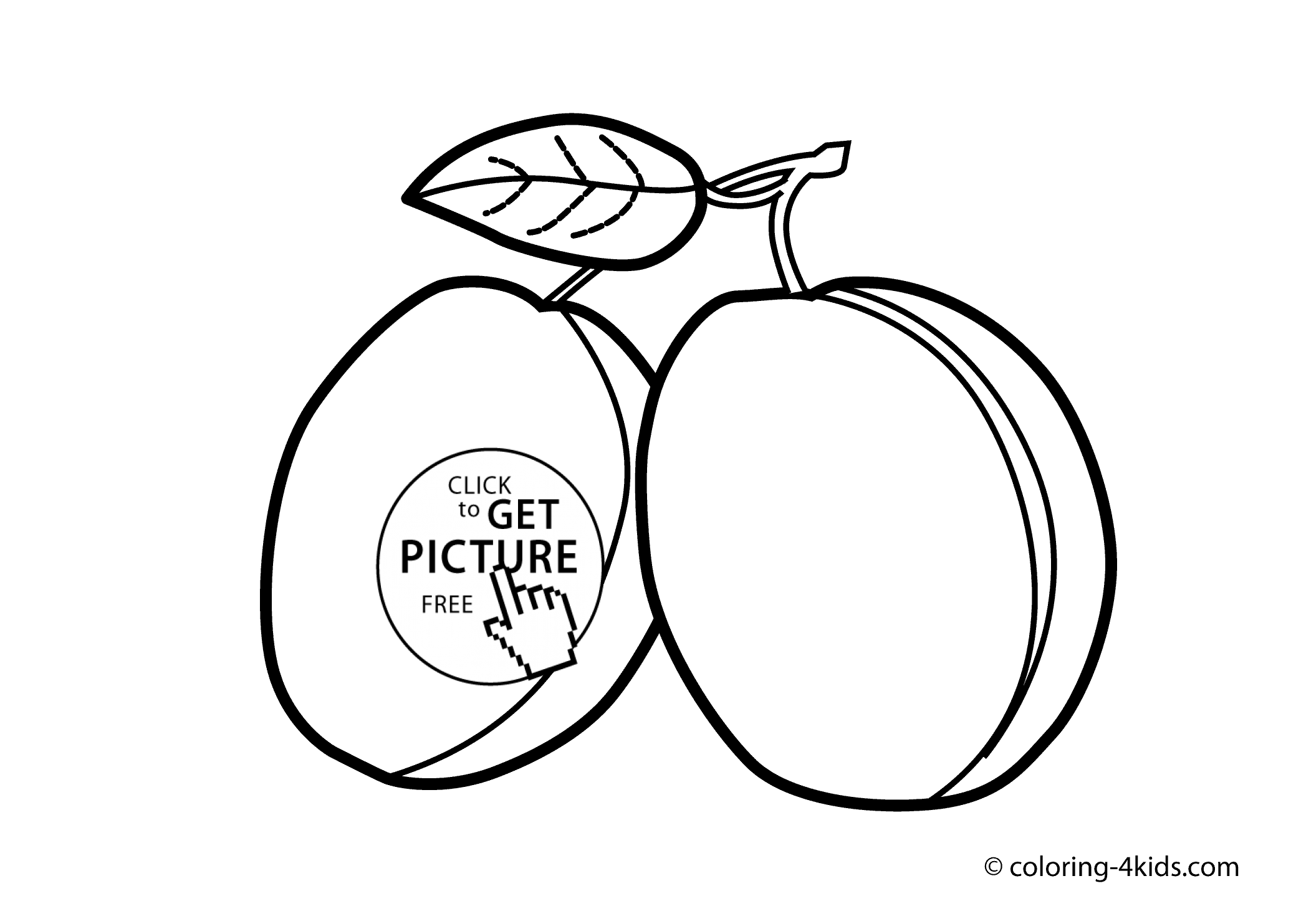 2079x1483 Plum Fruits Coloring Pages For Kids, Printable Free