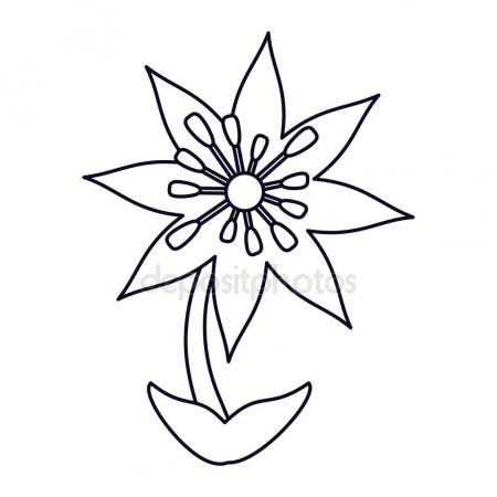 450x450 Timber Wolf Holding Plumeria Flower Drawing Stock Vector