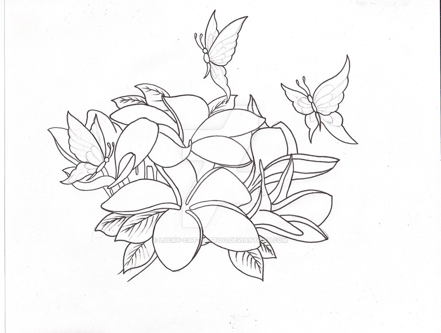 900x680 Plumeria's And Butterflies By Lucky Cat Tattoo