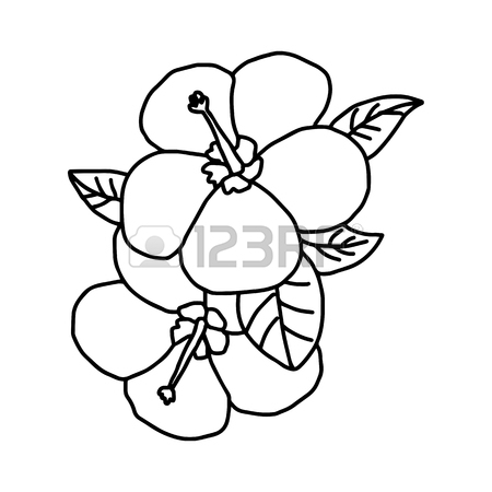 450x450 Plumeria
