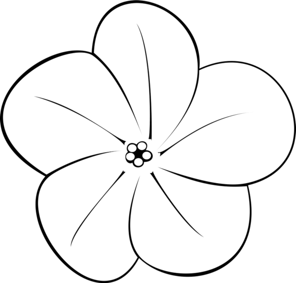 600x572 Charming Plumeria Flower Rubber Stamp Flower Amp Leaf Stamps