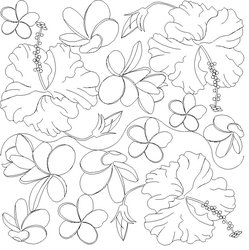 249x250 Shop Category Flowers Leaves Product Plumeria And Hibiscus E2e