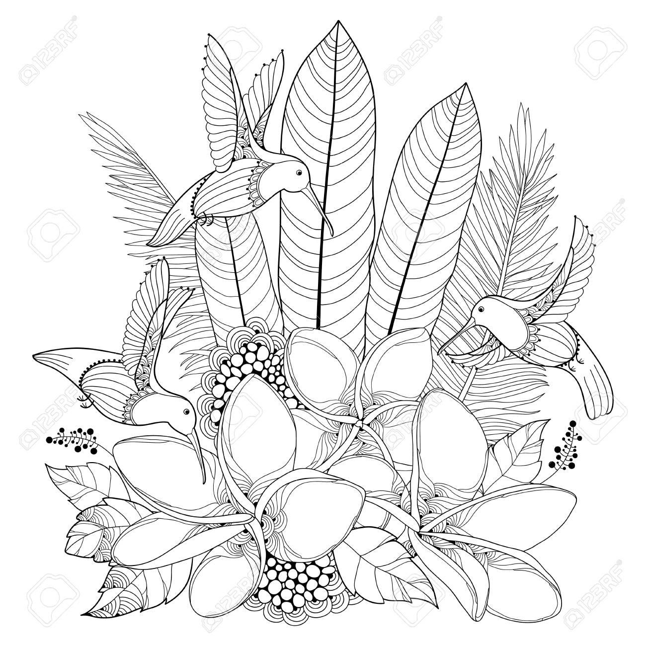 1300x1300 Flying Hummingbird Or Colibri, Plumeria Flowers And Palm Leaf