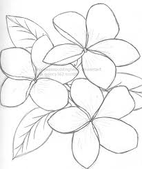 206x245 Image Result For Frangipani Flower Outline Flowers