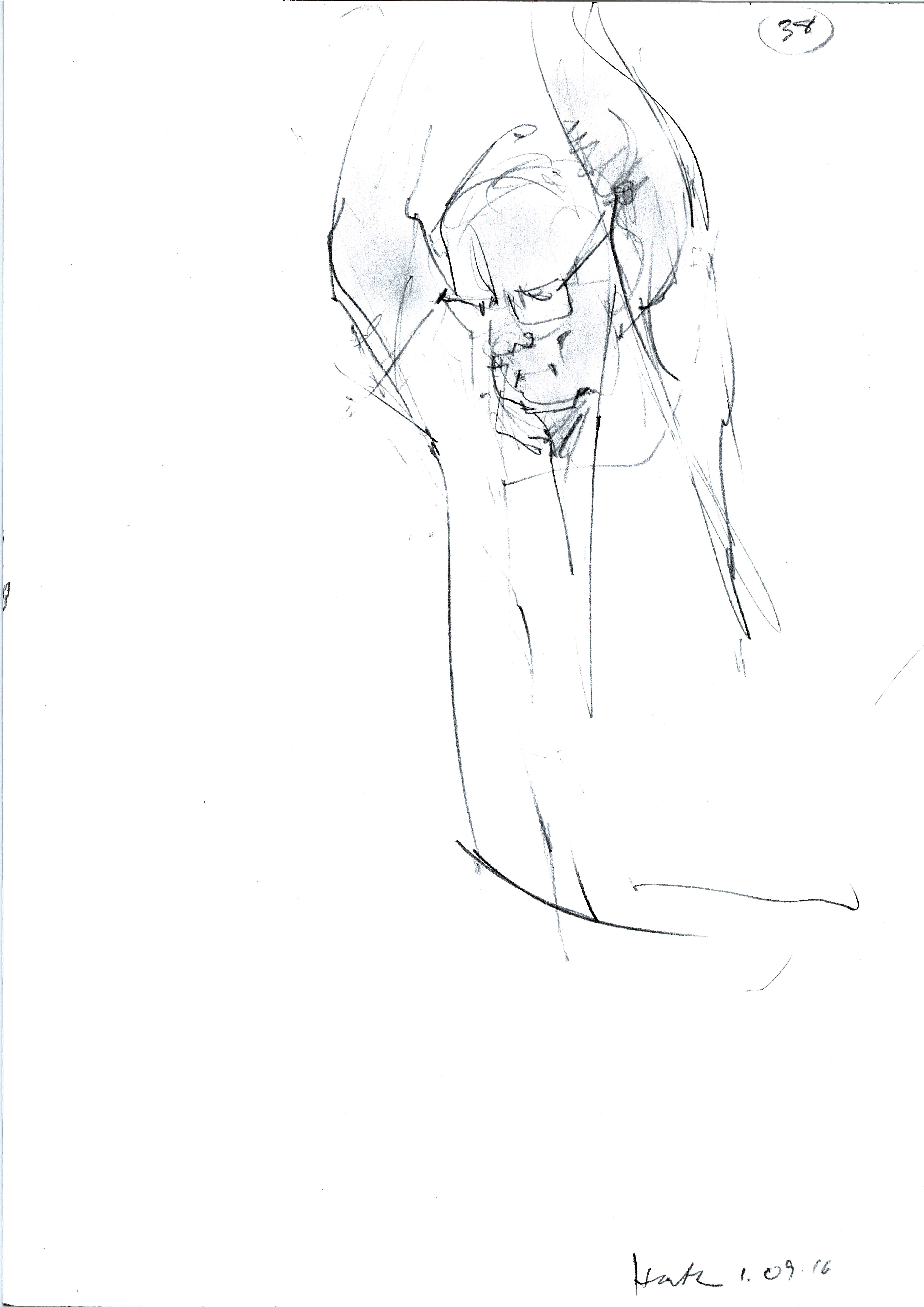 4964x7020 Heather Spears Drawing, Vision And The Brain