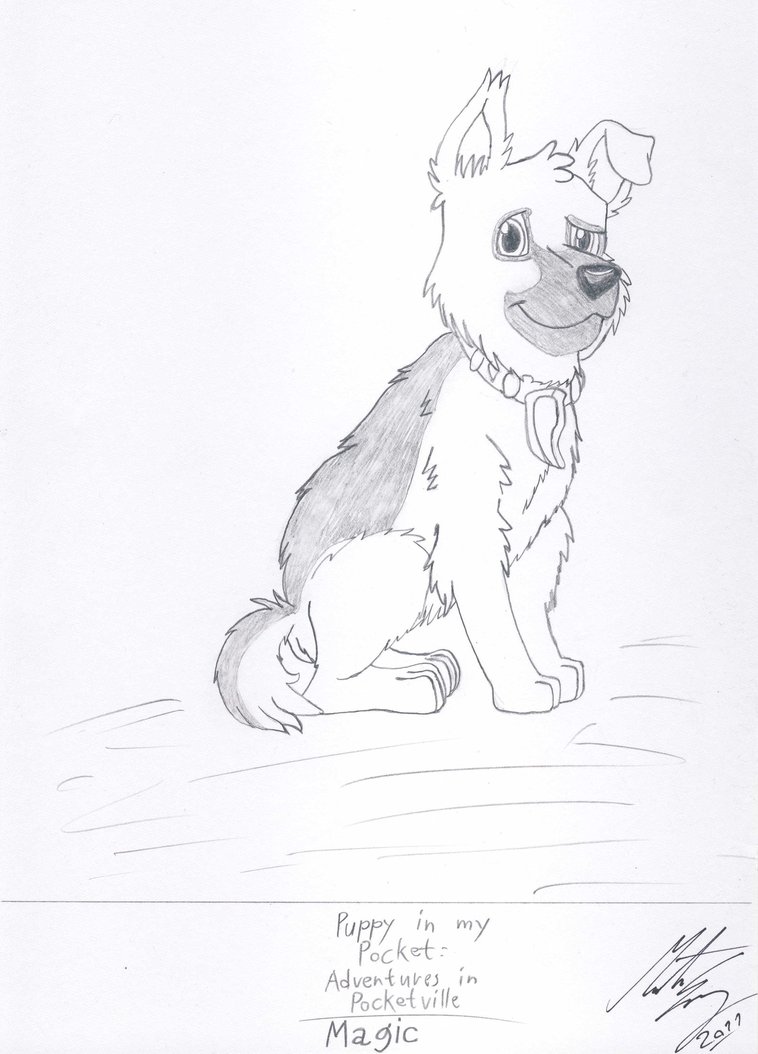 758x1054 Puppy In My Pocket