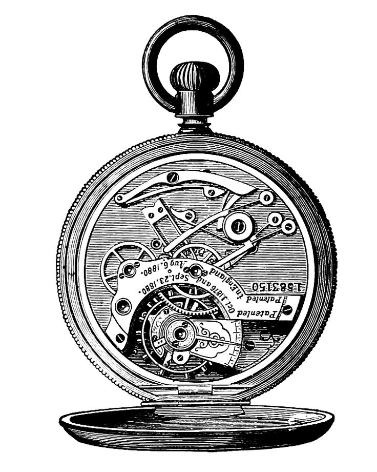 736x920 Drawn Pocket Watch Clock Gear
