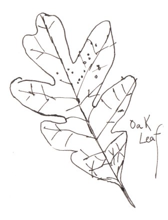 336x441 The Poem Farm Drawing