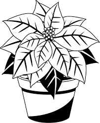 203x248 Christmas Pointsettia Clip Art