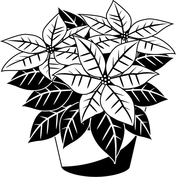 600x603 Christmas Poinsettia Clip Art