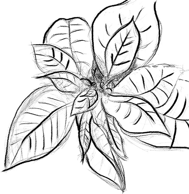 630x646 December 18th