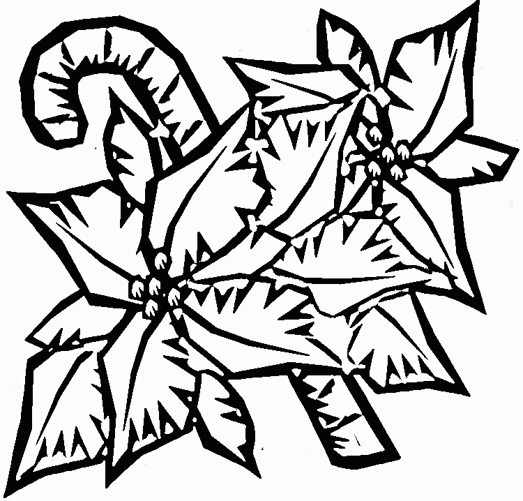 750x718 Poinsettia Coloring Page 364987