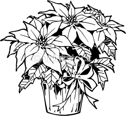 431x398 Black And White Poinsettia Clipart