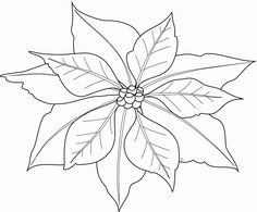 236x195 How To Draw A Poinsettia Step 5