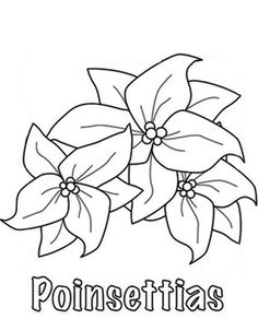 236x292 Poinsettia Coloring Printables Poinsettia2 Christmas Coloring