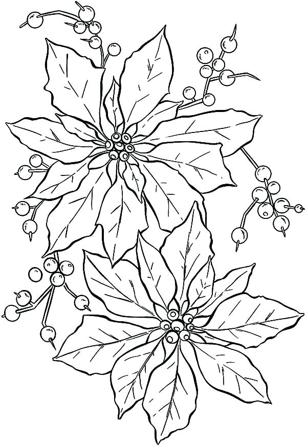 600x872 Flower Coloring Book Plus Poinsettia Coloring Pages Beautiful