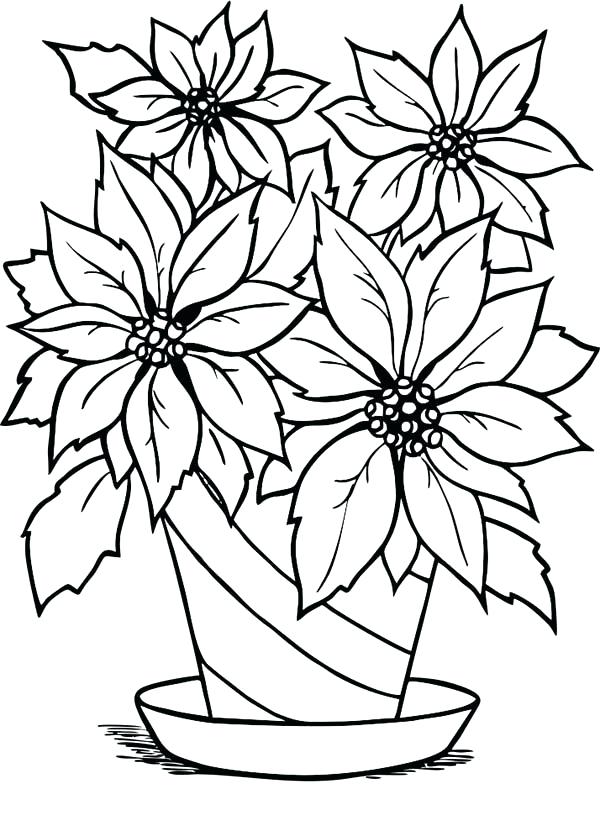 600x826 Poinsettia Coloring Page Poinsettia In Flowerpot Coloring Page
