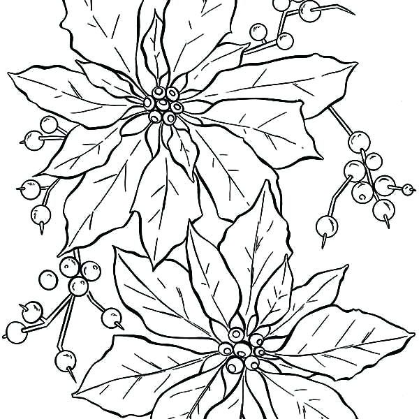 600x600 Legend Of The Poinsettia Coloring Page Poinsettia Coloring Pages