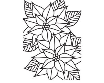 340x270 Poinsettia Flower Etsy