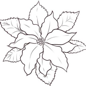 300x300 Poinsettia In The Garden Coloring Page Color Luna