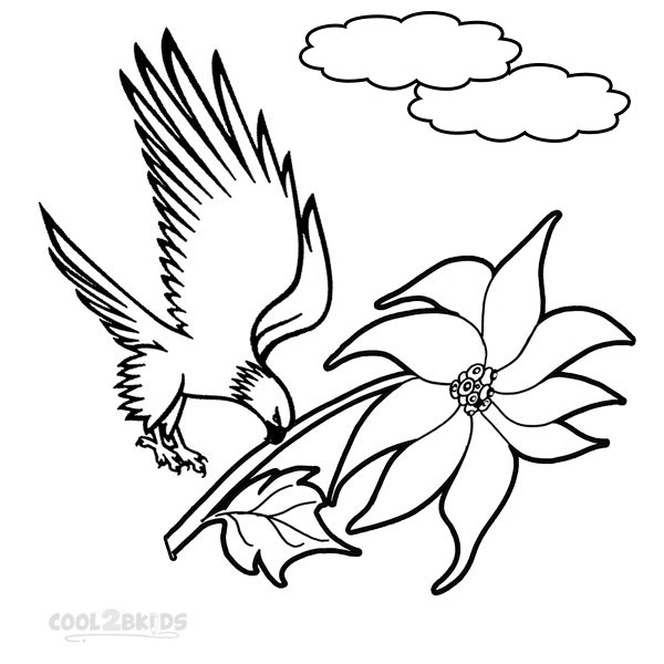 600x600 Printable Poinsettia Coloring Pages For Kids Cool2bkids