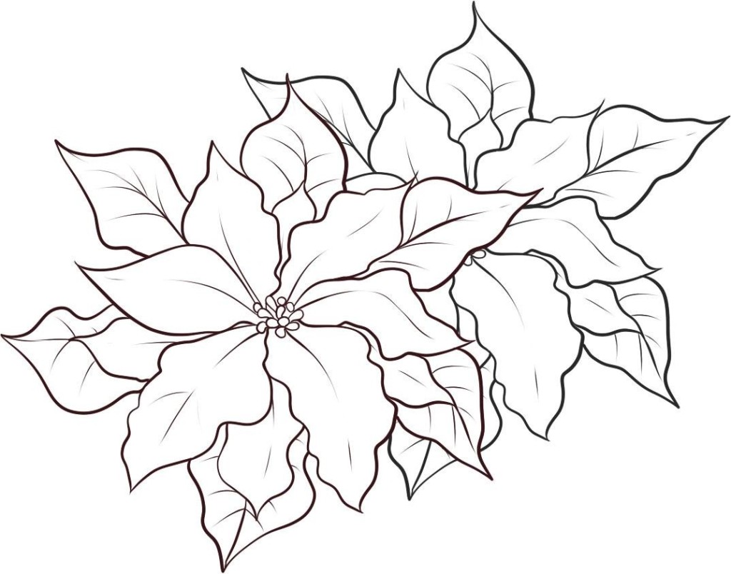 1024x804 Free Printable Poinsettia Coloring Pages