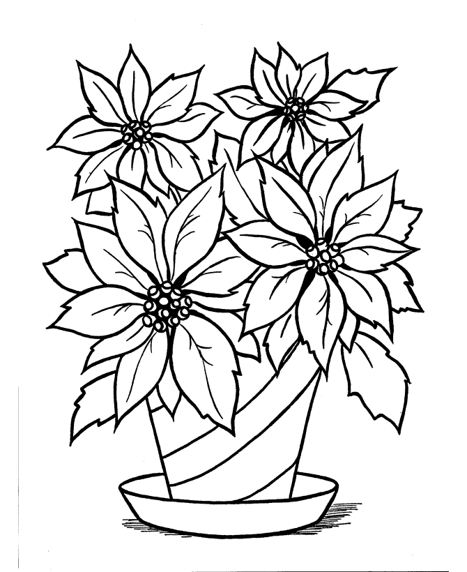 670x820 Poinsettia Clipart Black And White