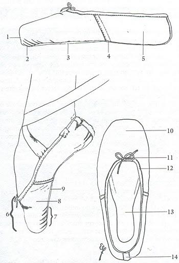 350x512 The Anatomy Of A Pointe Shoe