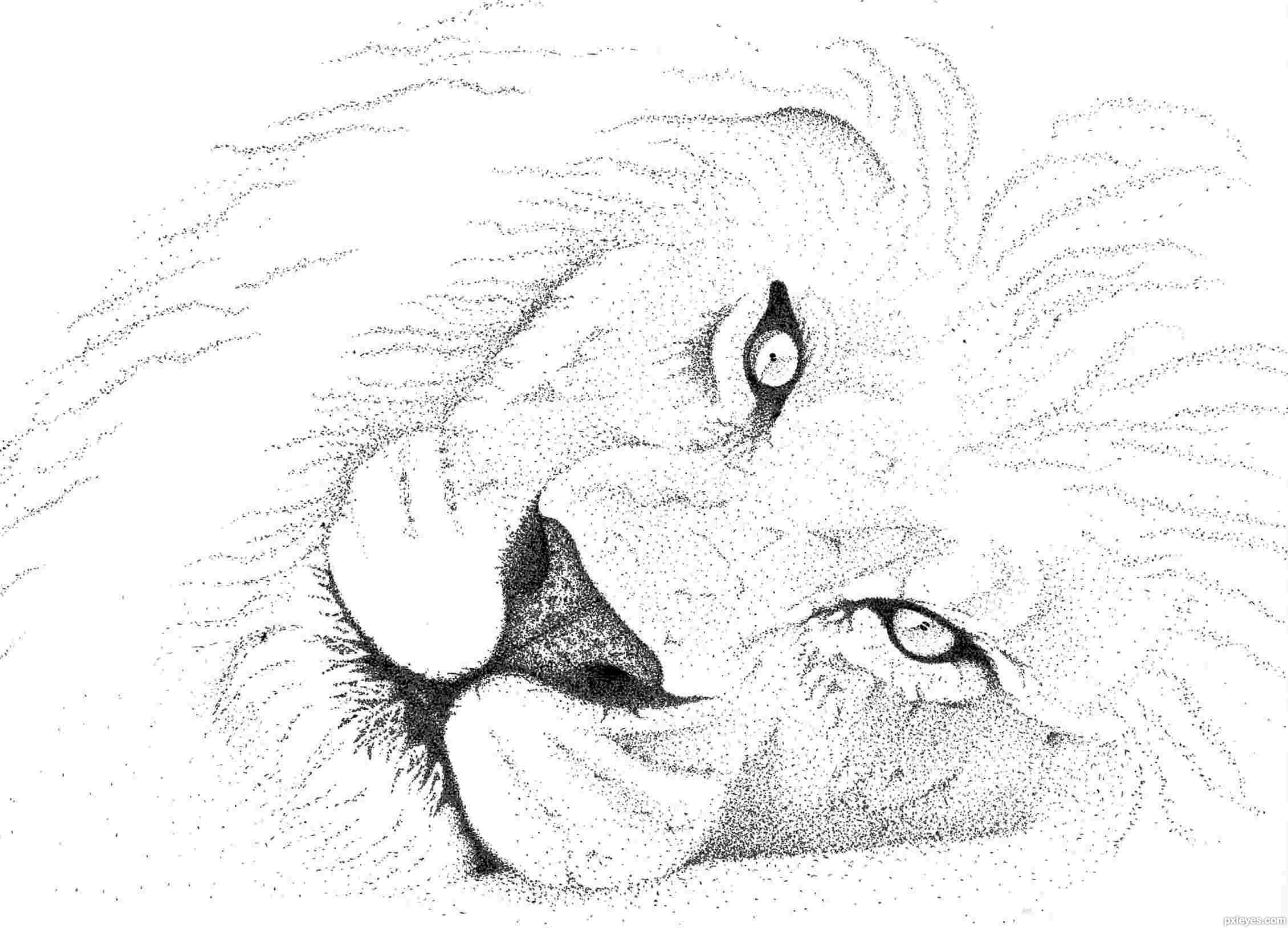 2260x1628 Black Beauty Picture, By Lamantine For Pointillism Drawing