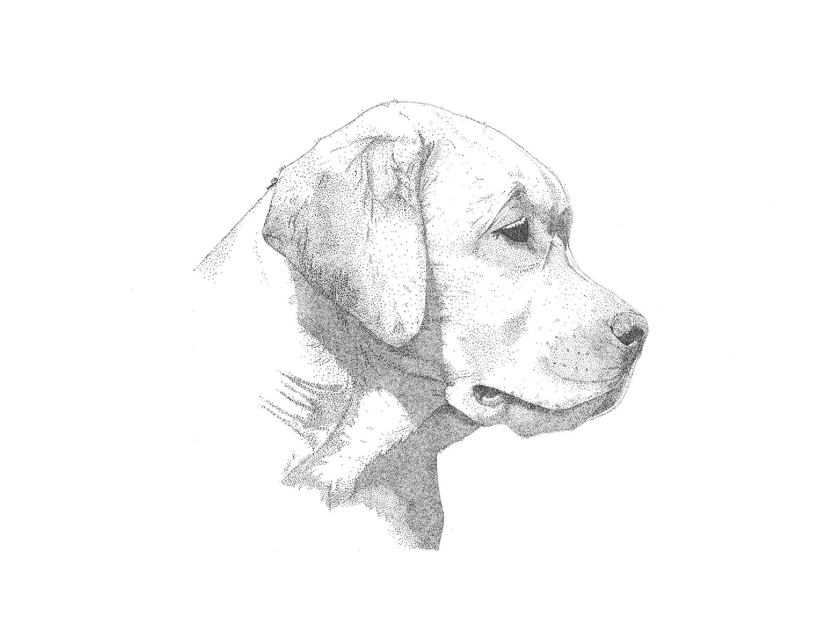 2895x2175 Pointillism Chris